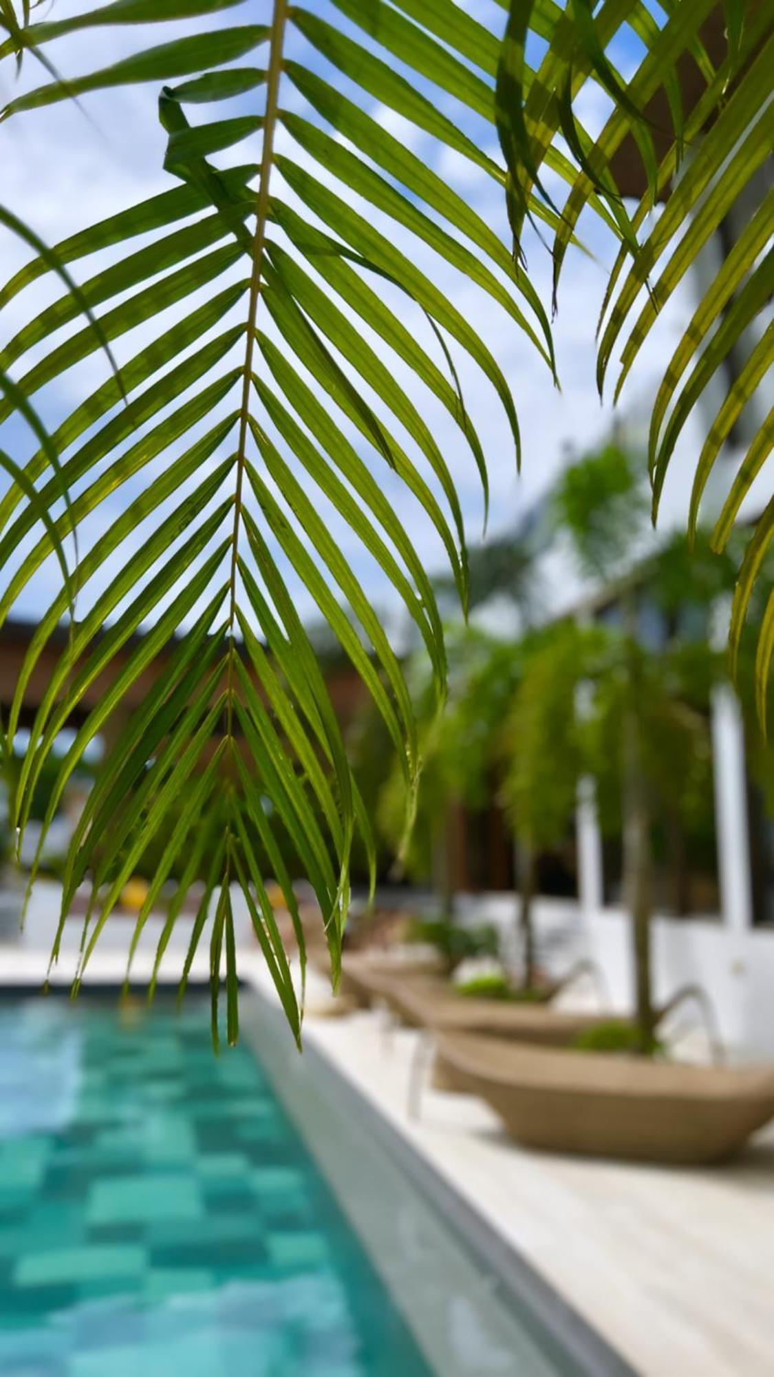 Ahana Resort เอลนิโด ภายนอก รูปภาพ